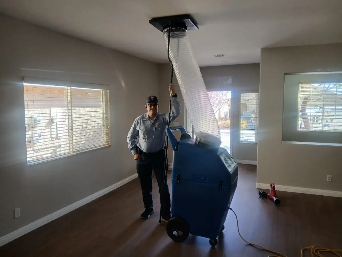 Professional Dryer Vent Cleaning work inside a East Point home